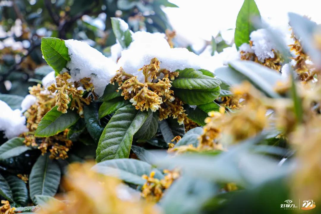 一場(chǎng)初雪，好視力眼貼一直守護(hù)