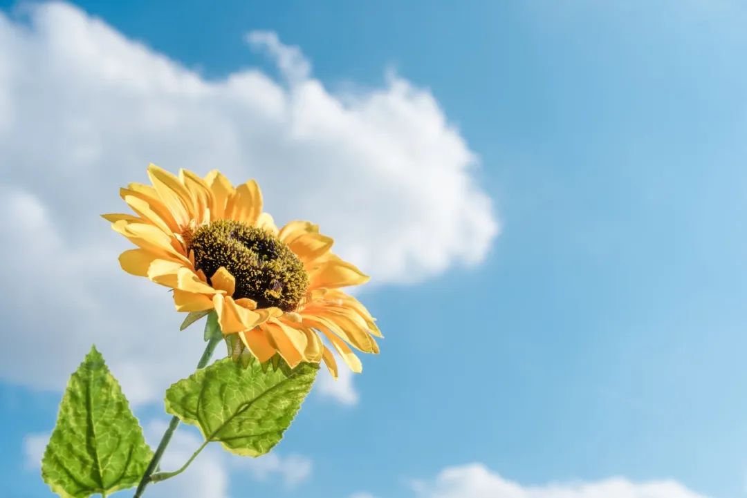 炎炎夏日，牢記這四點(diǎn)，讓眼睛更健康