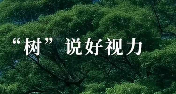 種守護眼健康的“參天大樹”！