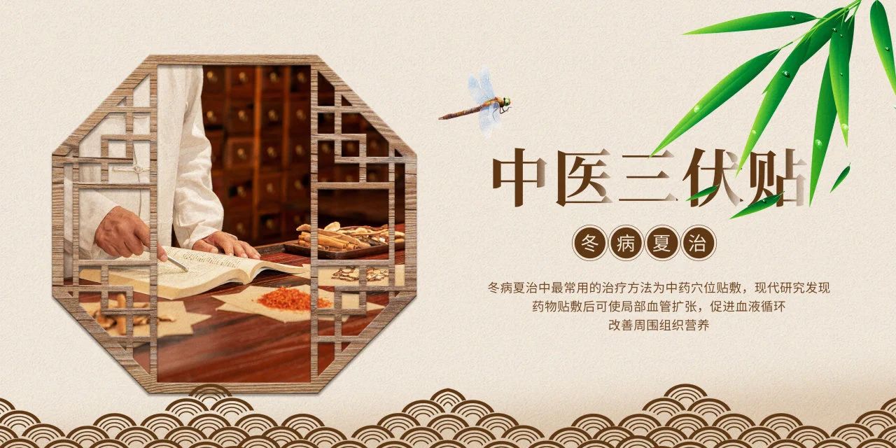 眼睛也需要“三伏貼”？